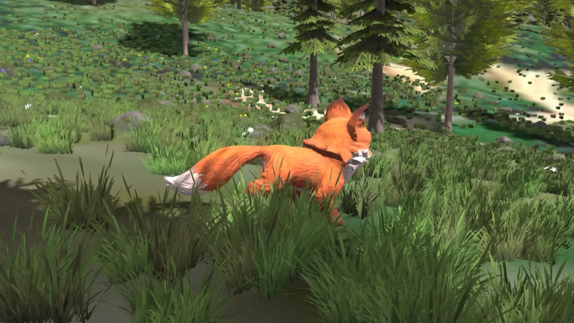 Paul the Fox 在洒满阳光的山丘中探索